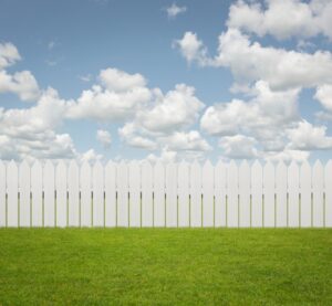 sky-fence-grass